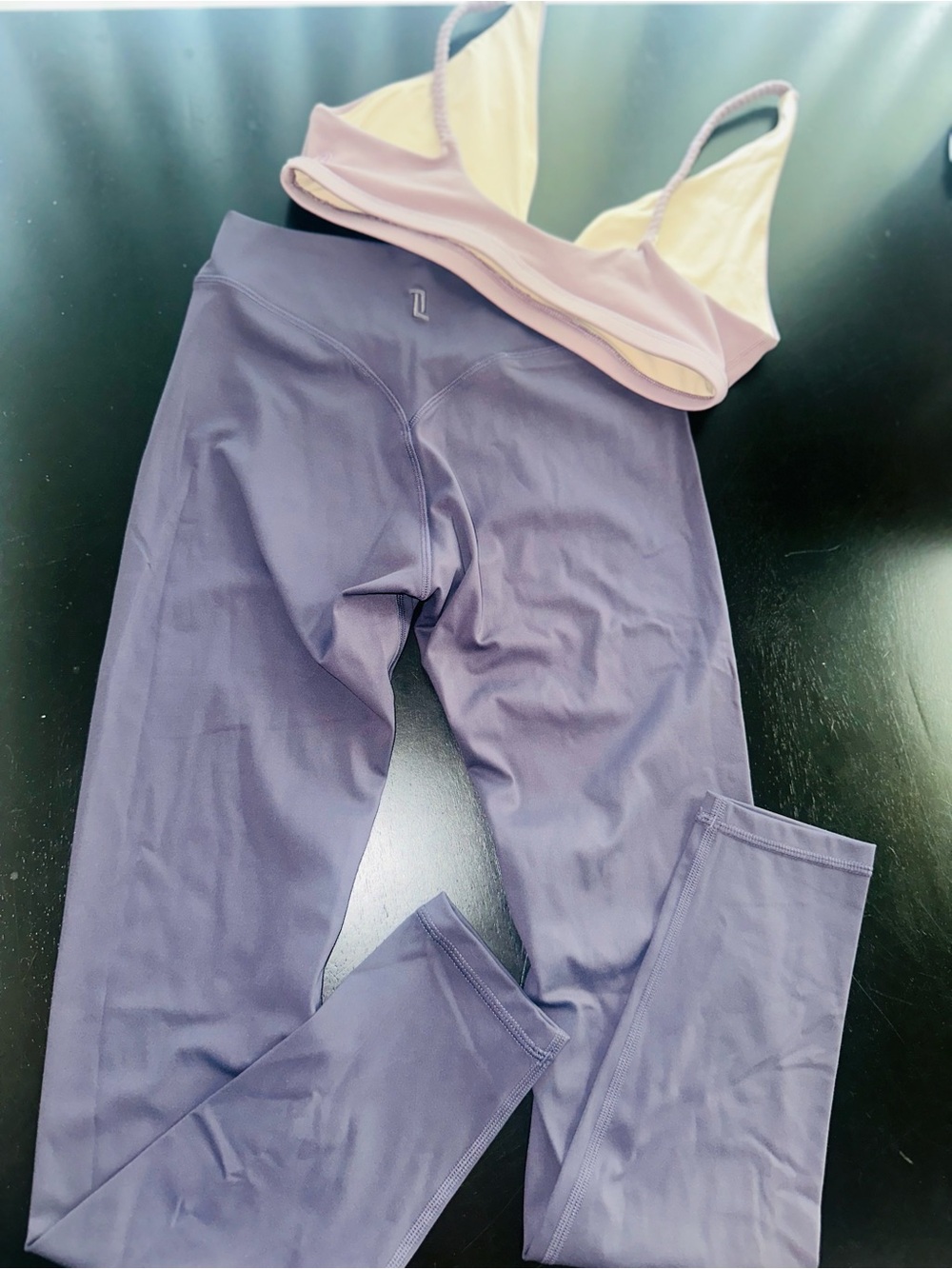 Sydney Adams Liaison the label sz  L leggings/ M top NWOT